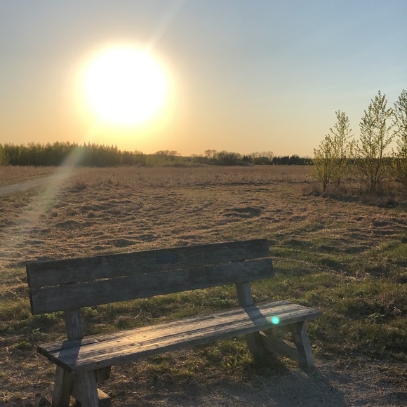 Meet your Posher, Summer ๐จ๐ฆ - Picture 1 of 1